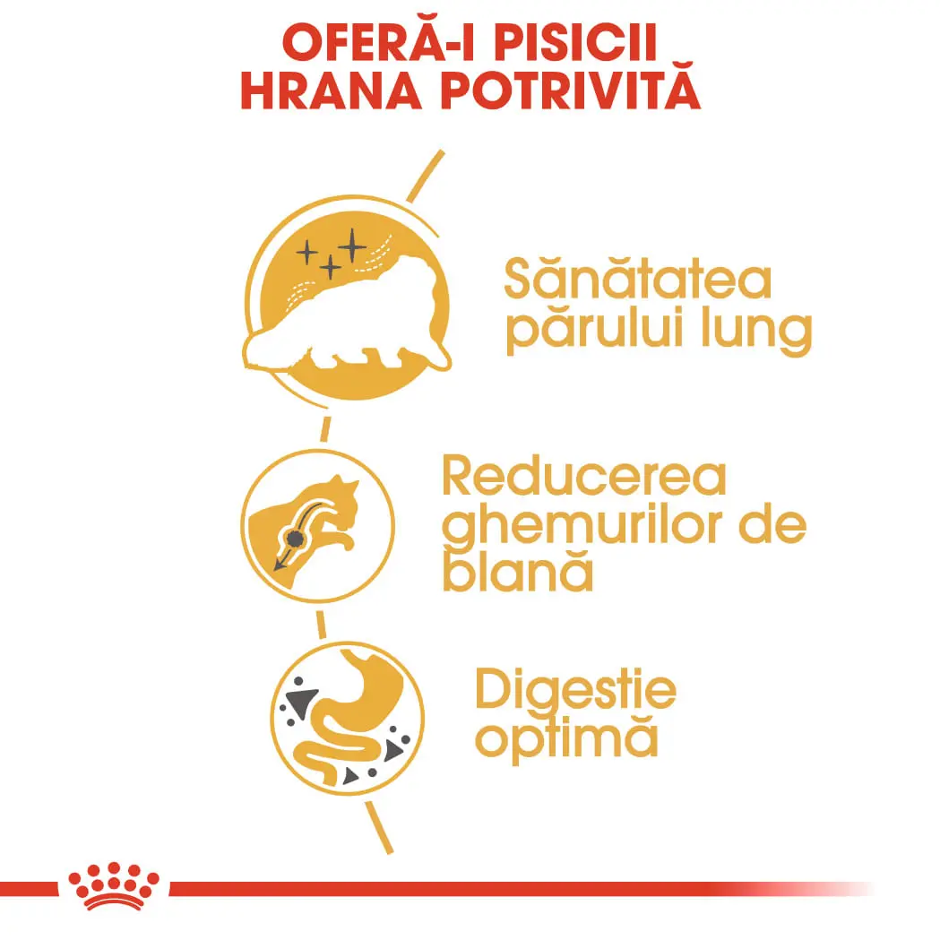 ROYAL CANIN Persian Adult, hrana uscata pisici, 2kg - Image 5