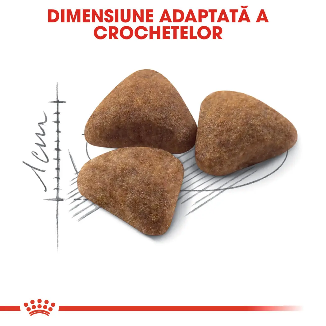ROYAL CANIN Indoor Adult, hrana uscata pisici, de interior, 2kg - Image 5