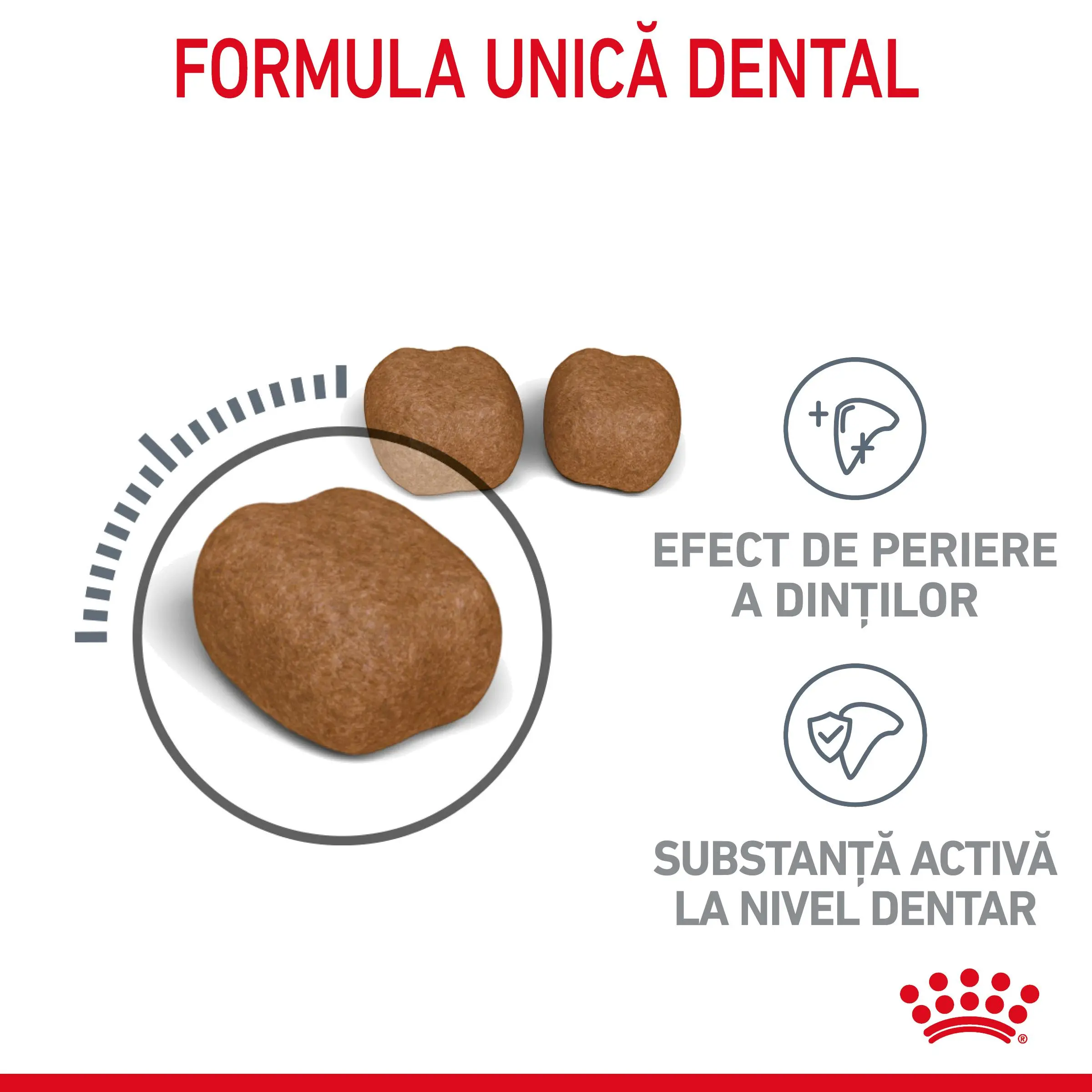 ROYAL CANIN Dental Care Adult, hrana uscata pisici, reducerea formarii tartrului, 1.5kg - Image 4