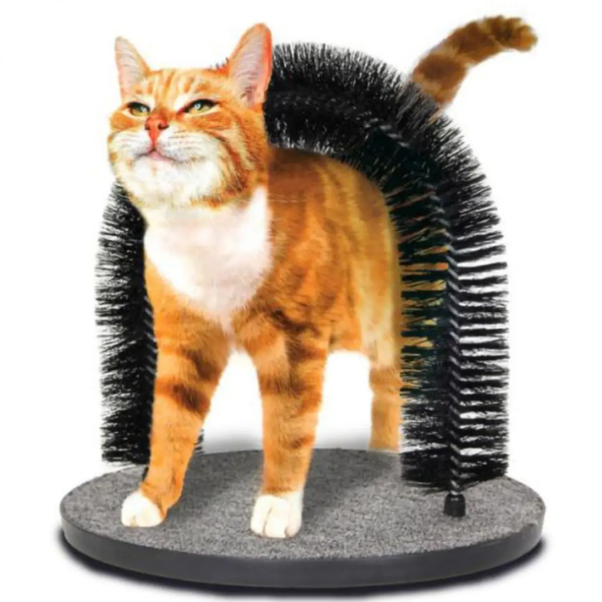 MIAU MIAU Periaj Arc, ansamblu de joaca pisici, gri si negru, 28x35cm - Image 2