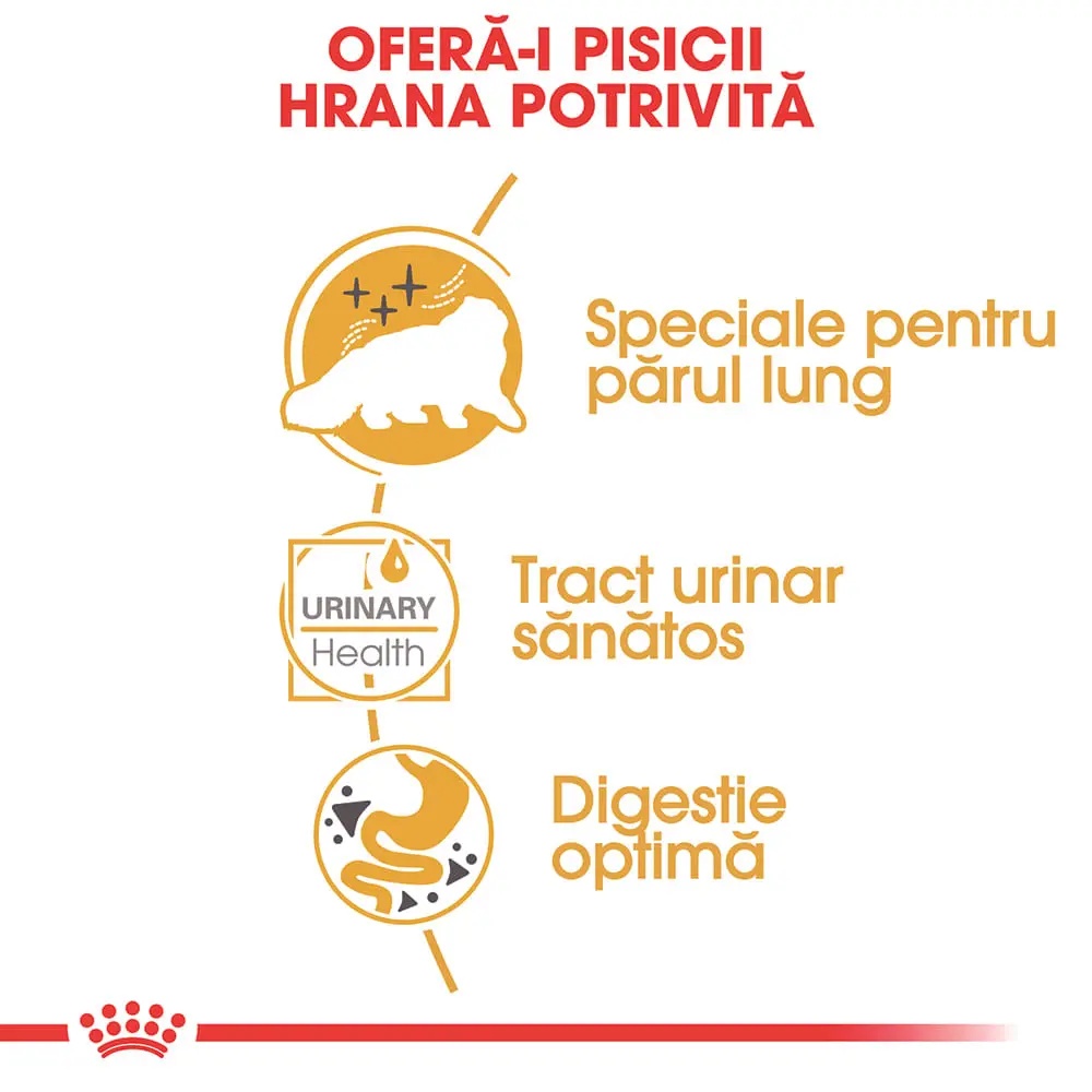 ROYAL CANIN Persian Adult, hrana umeda pisici, (pate), bax, 85g x 12buc - Image 5