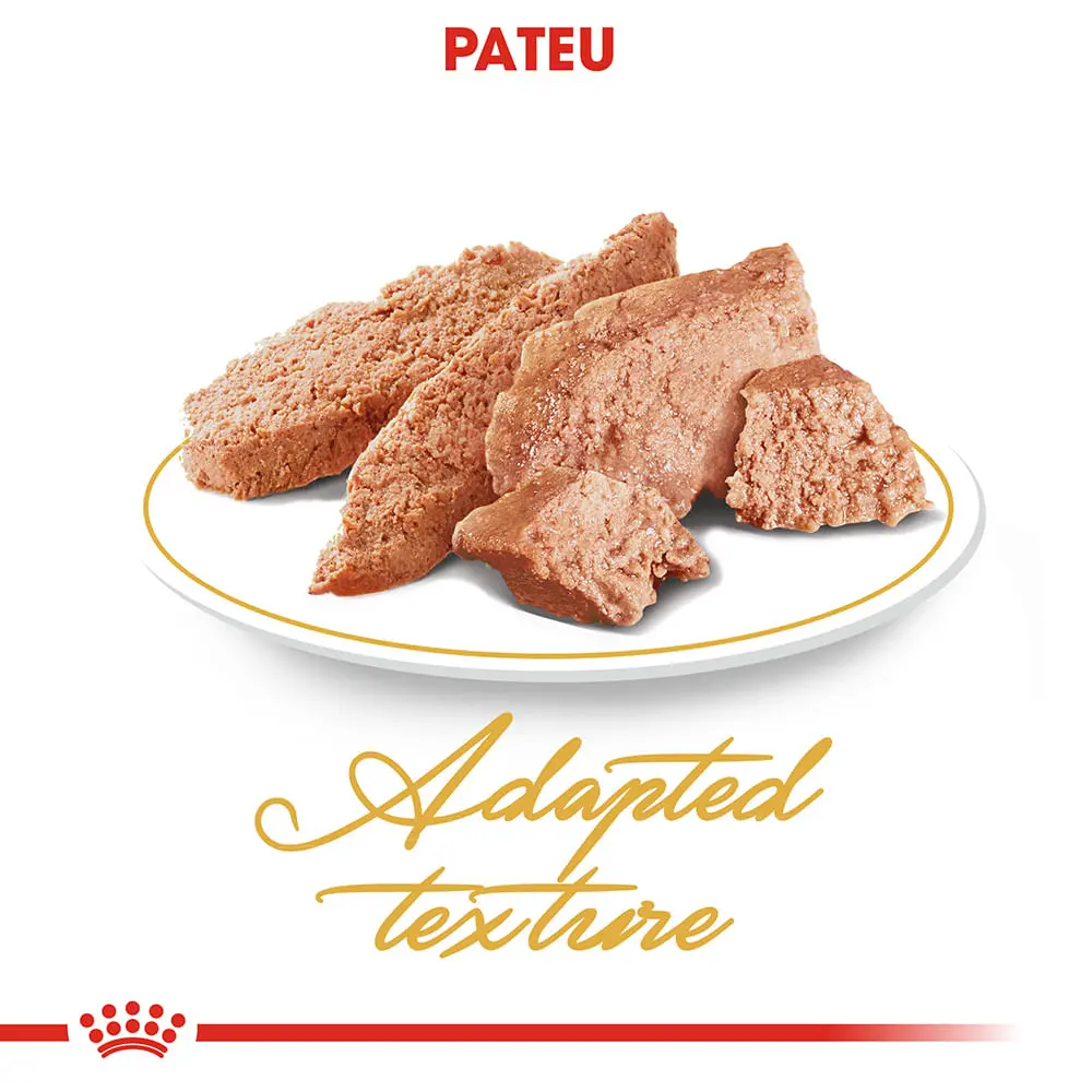 ROYAL CANIN Persian Adult, hrana umeda pisici, (pate), bax, 85g x 12buc - Image 6
