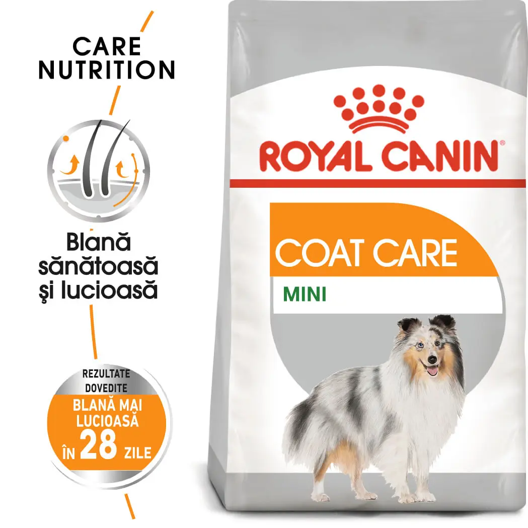ROYAL CANIN Mini Coat Care Adult, hrana uscata caini, 3kg - Image 2