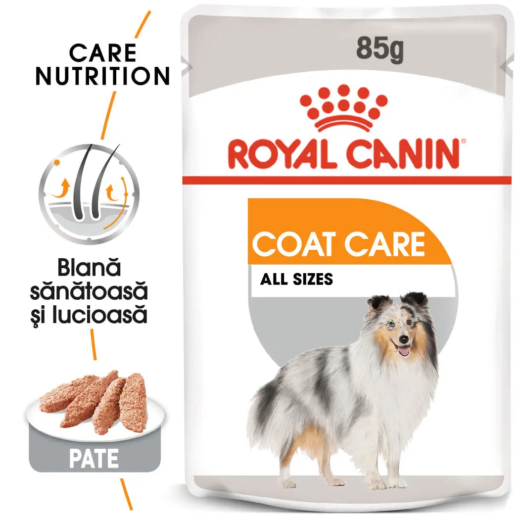 ROYAL CANIN Coat Care Adult, hrana umeda caini, blana sanatoasa si lucioasa, (pate), 85g