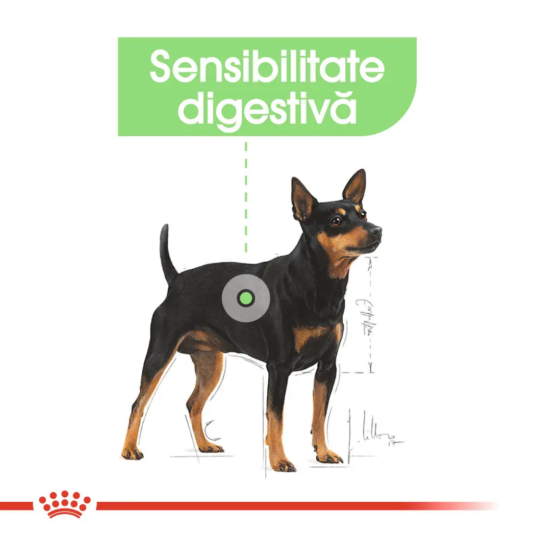 ROYAL CANIN Digestive Care Adult, hrana umeda caini, confort digestiv, (pate), 85g - Image 4
