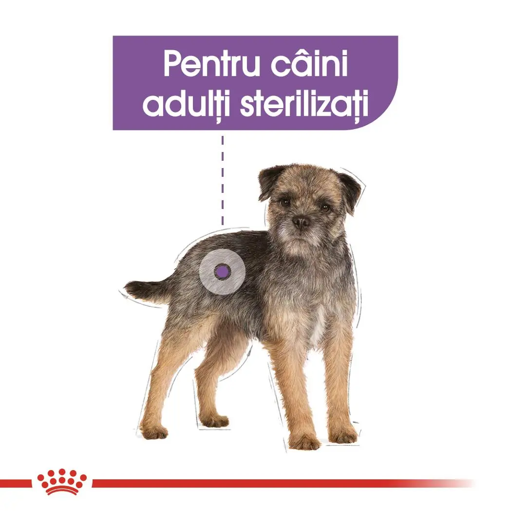ROYAL CANIN Sterilised Adult, hrana umeda caini sterilizati, (pate), 85g - Image 4