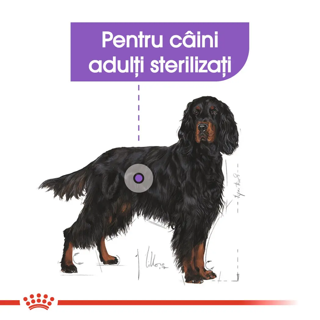 ROYAL CANIN Maxi Sterilised Adult hrana uscata caini sterilizati, 12kg - Image 4