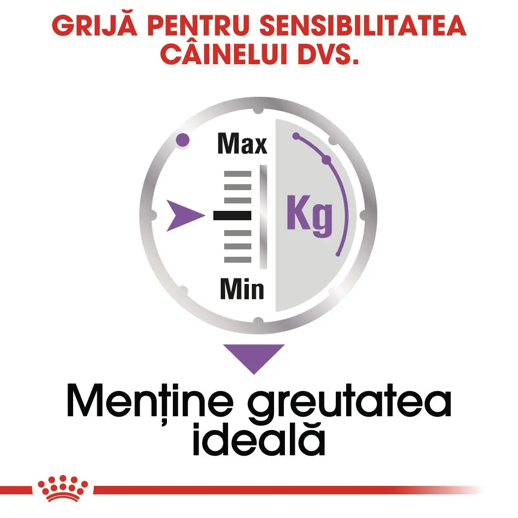 ROYAL CANIN Sterilised Adult, hrana umeda caini sterilizati, (pate), 85g - Image 5