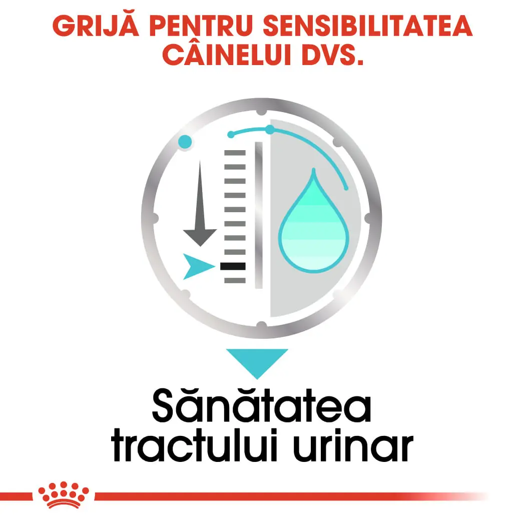 ROYAL CANIN Urinary Care Adult, hrana umeda caini, sanatatea tractului urinar, (pate), 85g - Image 5