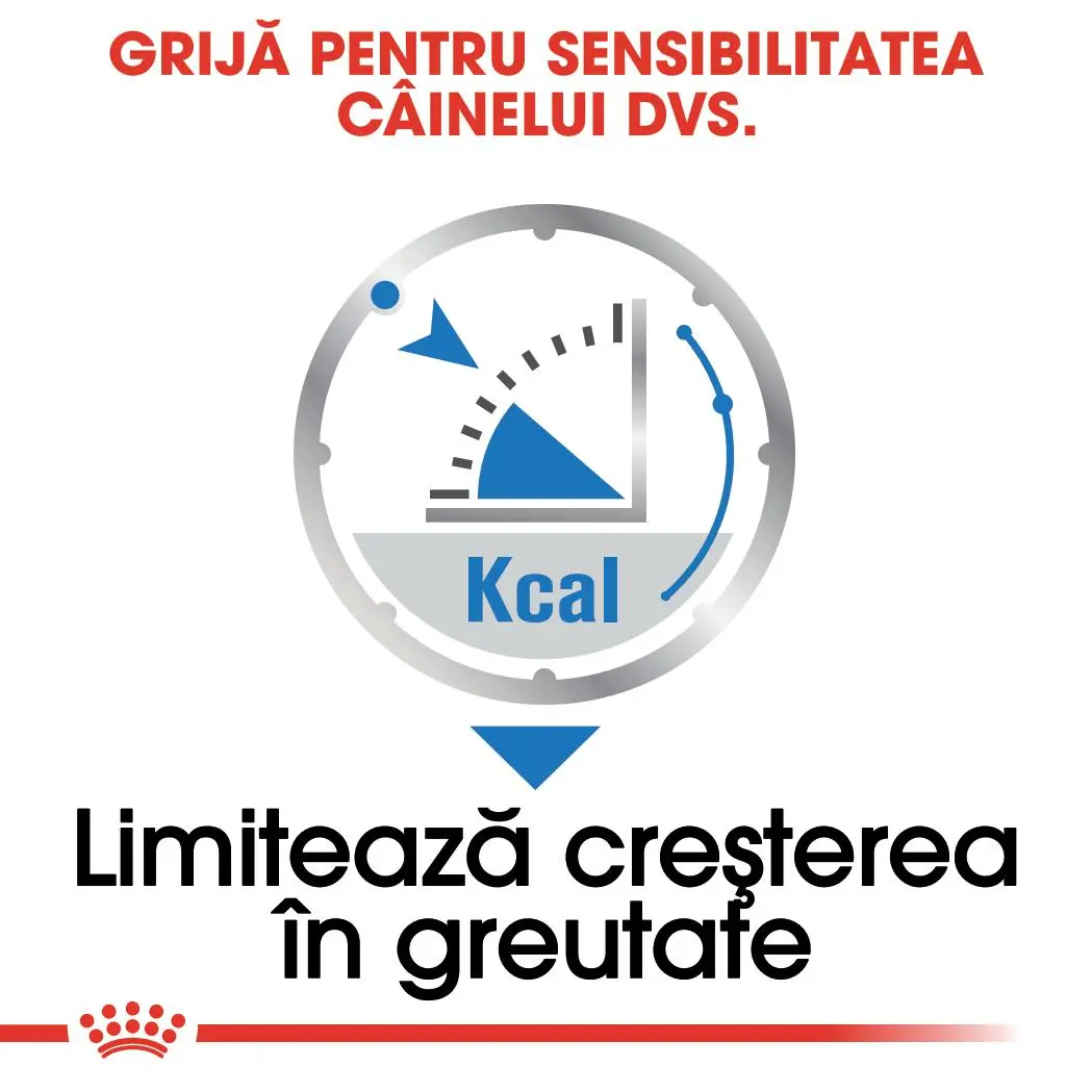 ROYAL CANIN Light Weight Care Adult, hrana umeda caini, limitarea cresterii in greutate, (pate), 85g - Image 5