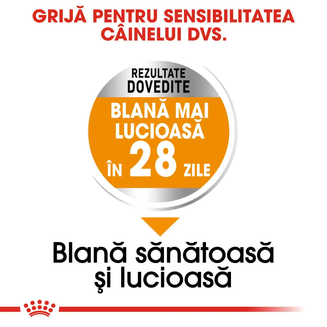 ROYAL CANIN Mini Coat Care Adult, hrana uscata caini, 3kg - Image 5