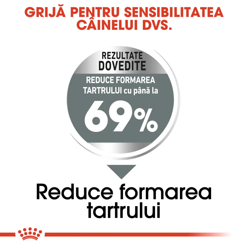 ROYAL CANIN Mini Dental Care Adult, hrana uscata caini, reducerea formarii tartrului, 1kg - Image 5