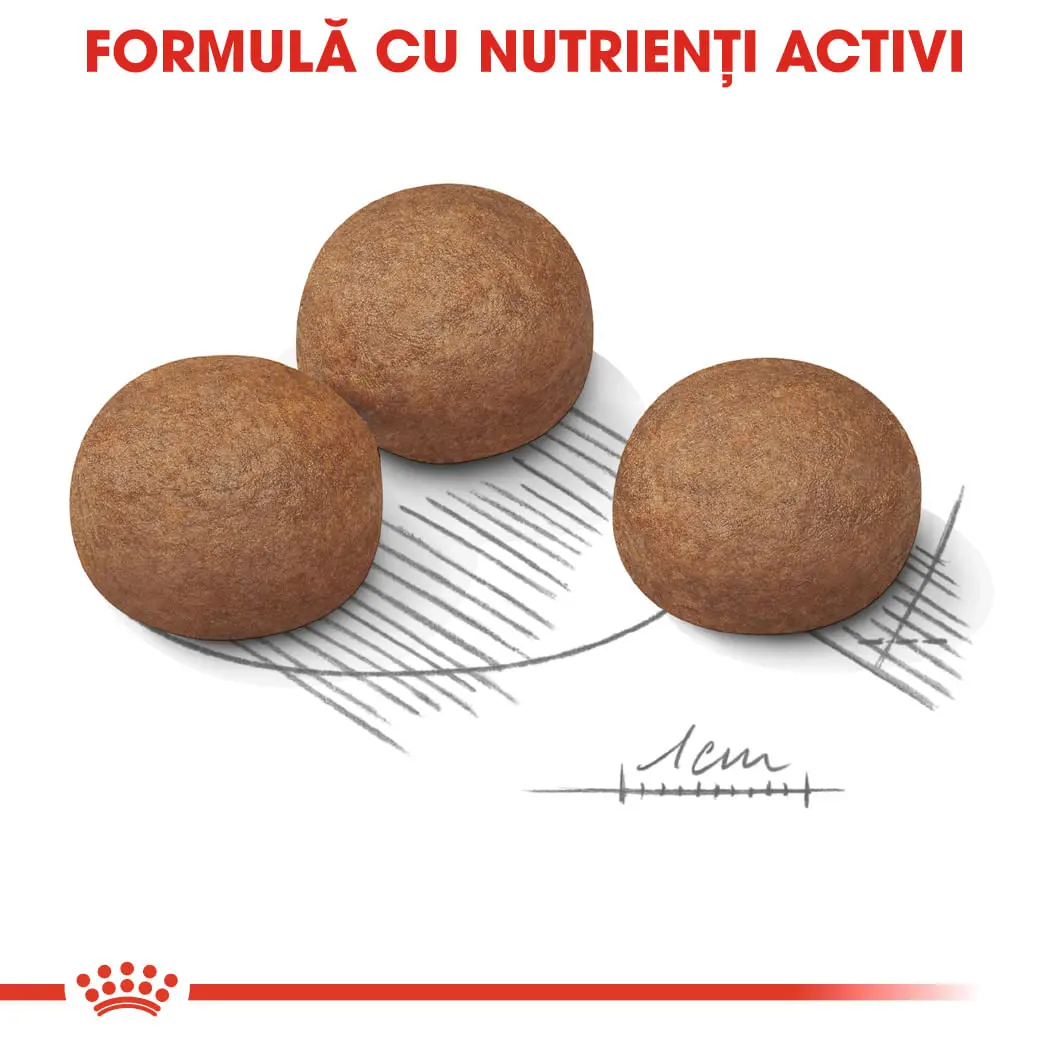 ROYAL CANIN Maxi Digestive Care, hrana uscata caini, confort digestiv, 12kg - Image 6