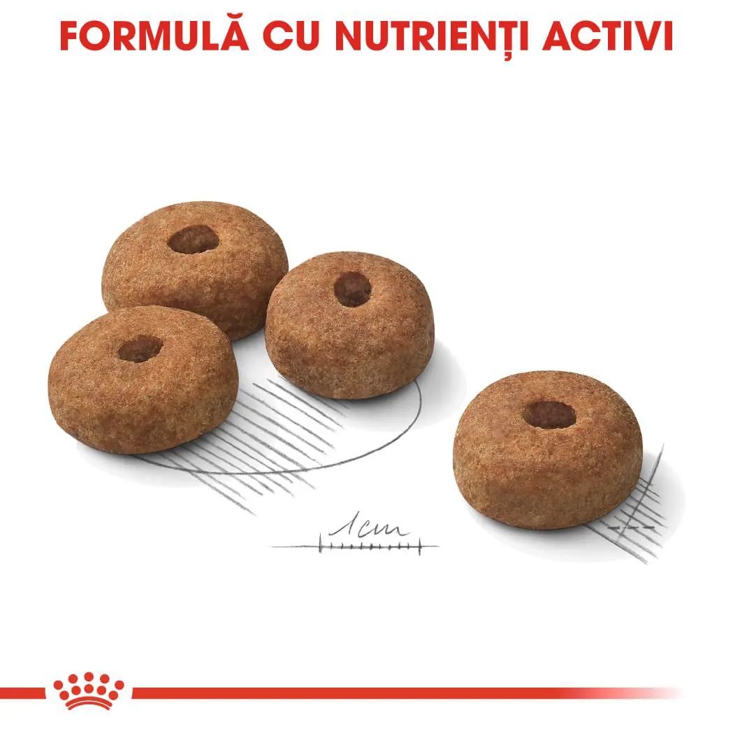 ROYAL CANIN Maxi Sterilised Adult hrana uscata caini sterilizati, 12kg - Image 6
