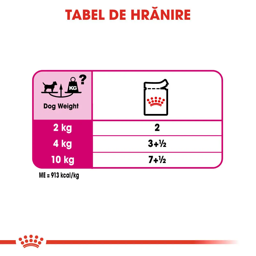 ROYAL CANIN Exigent Adult hrana umeda caini apetit capricios (pate), 85g - Image 8
