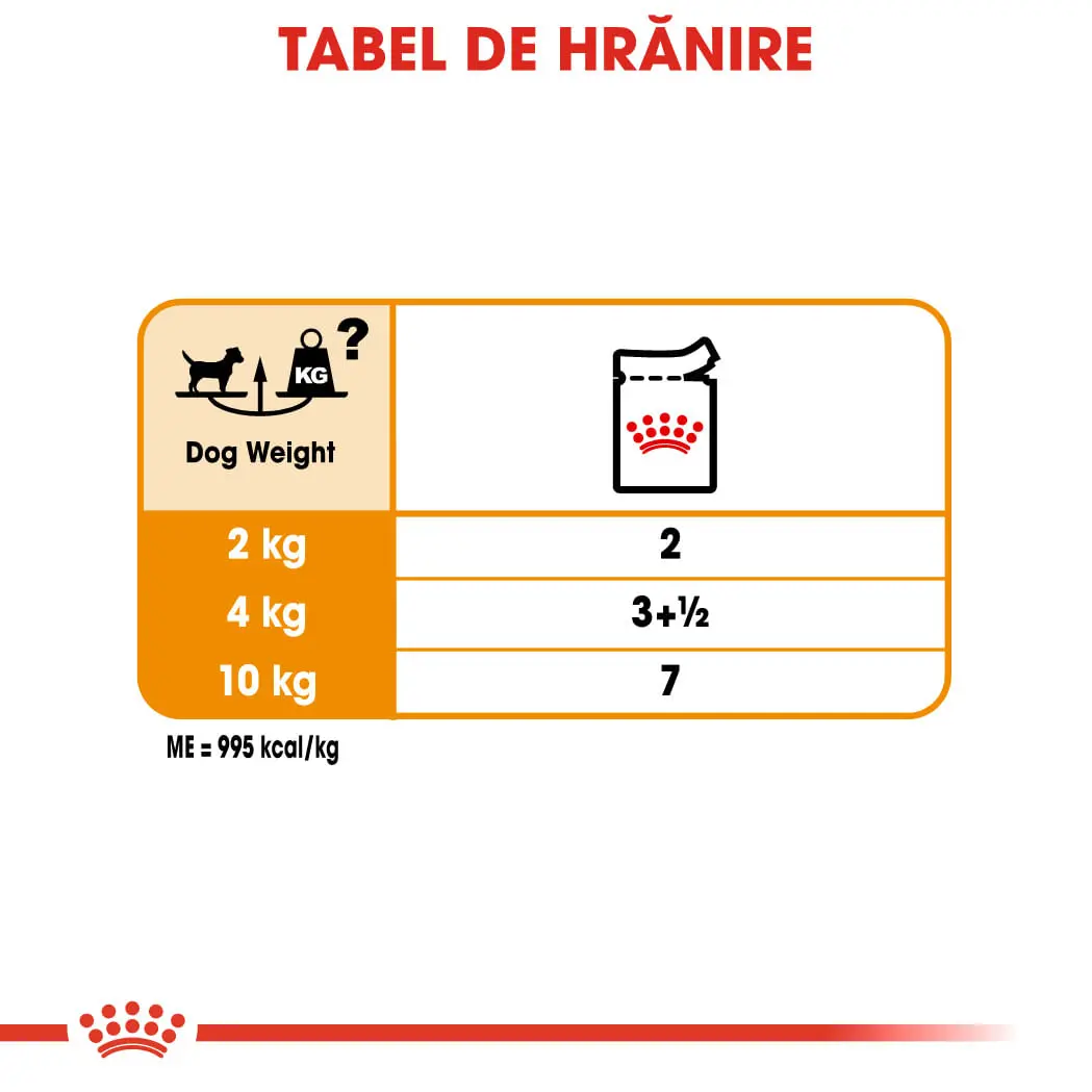ROYAL CANIN Coat Care Adult, hrana umeda caini, blana sanatoasa si lucioasa, (pate), 85g - Image 8