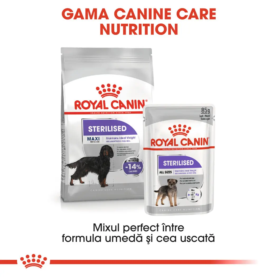 ROYAL CANIN Maxi Sterilised Adult hrana uscata caini sterilizati, 12kg - Image 9