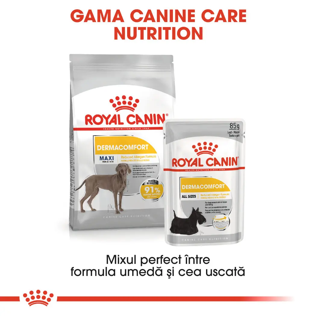 ROYAL CANIN Maxi Dermacomfort, hrana uscata caini, prevenirea iritatiilor pielii, 12kg - Image 9