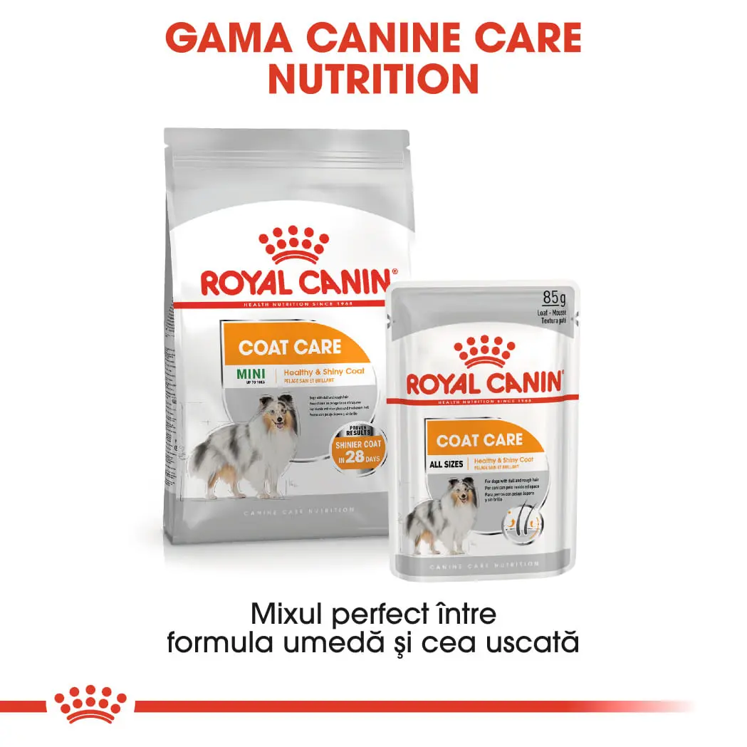 ROYAL CANIN Mini Coat Care Adult, hrana uscata caini, 3kg - Image 9