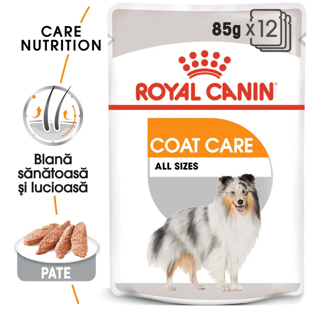 ROYAL CANIN Coat Care Adult, hrana umeda caini, blana sanatoasa si lucioasa, (pate), bax, 85g x 12buc