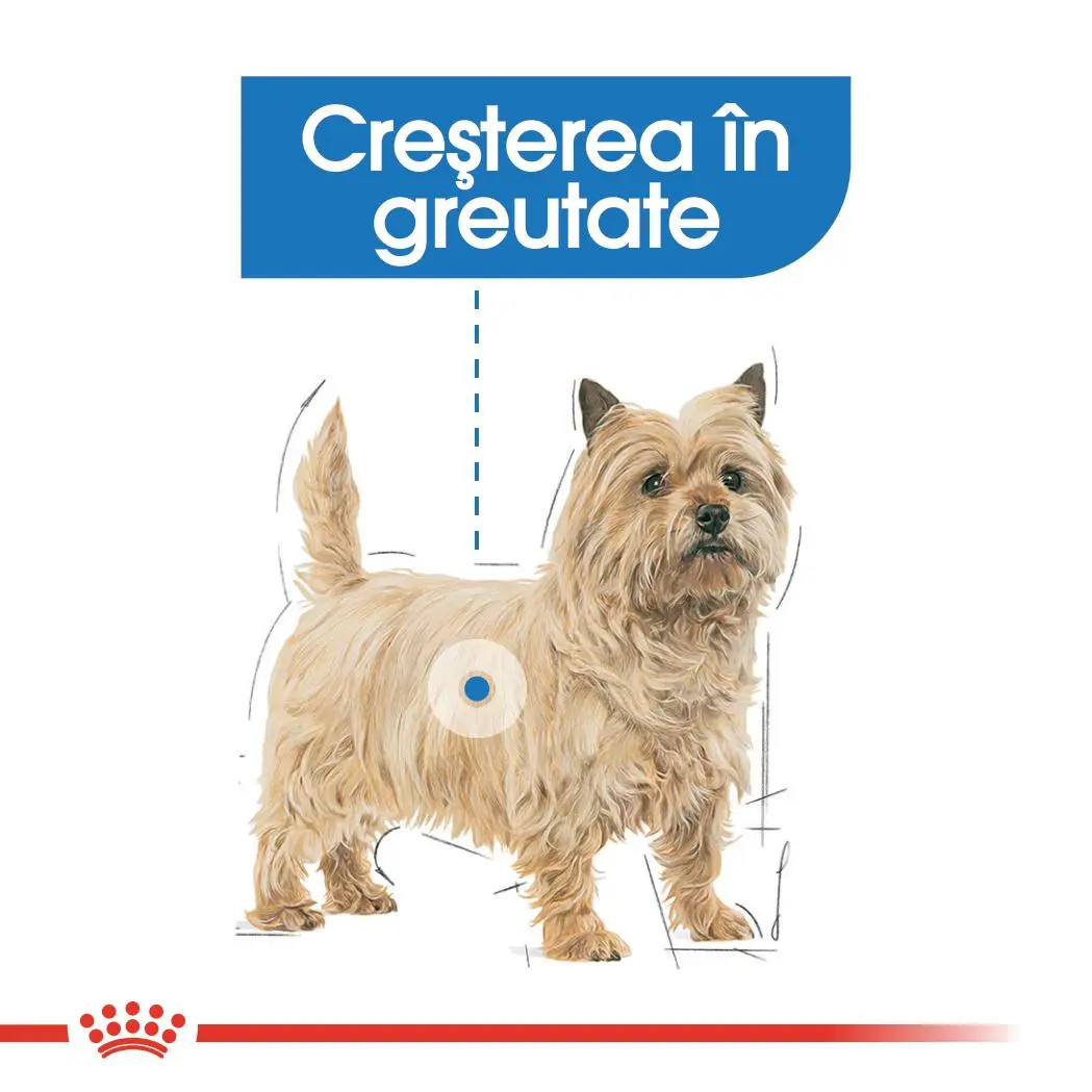 ROYAL CANIN Light Weight Care Adult, hrana umeda caini, limitarea cresterii in greutate, (pate), bax, 85g x 12buc - Image 4