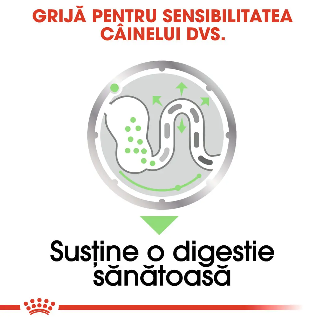 ROYAL CANIN Digestive Care Adult, hrana umeda caini, confort digestiv, (pate), bax, 85g x 12buc - Image 5