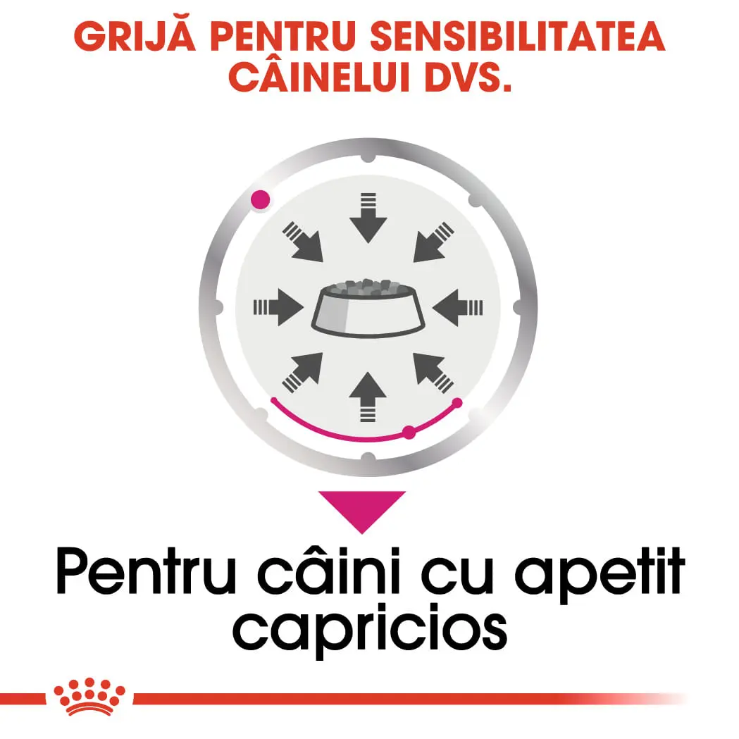 ROYAL CANIN Exigent Adult hrana umeda caini apetit capricios (pate), bax, 85g x 12buc - Image 5