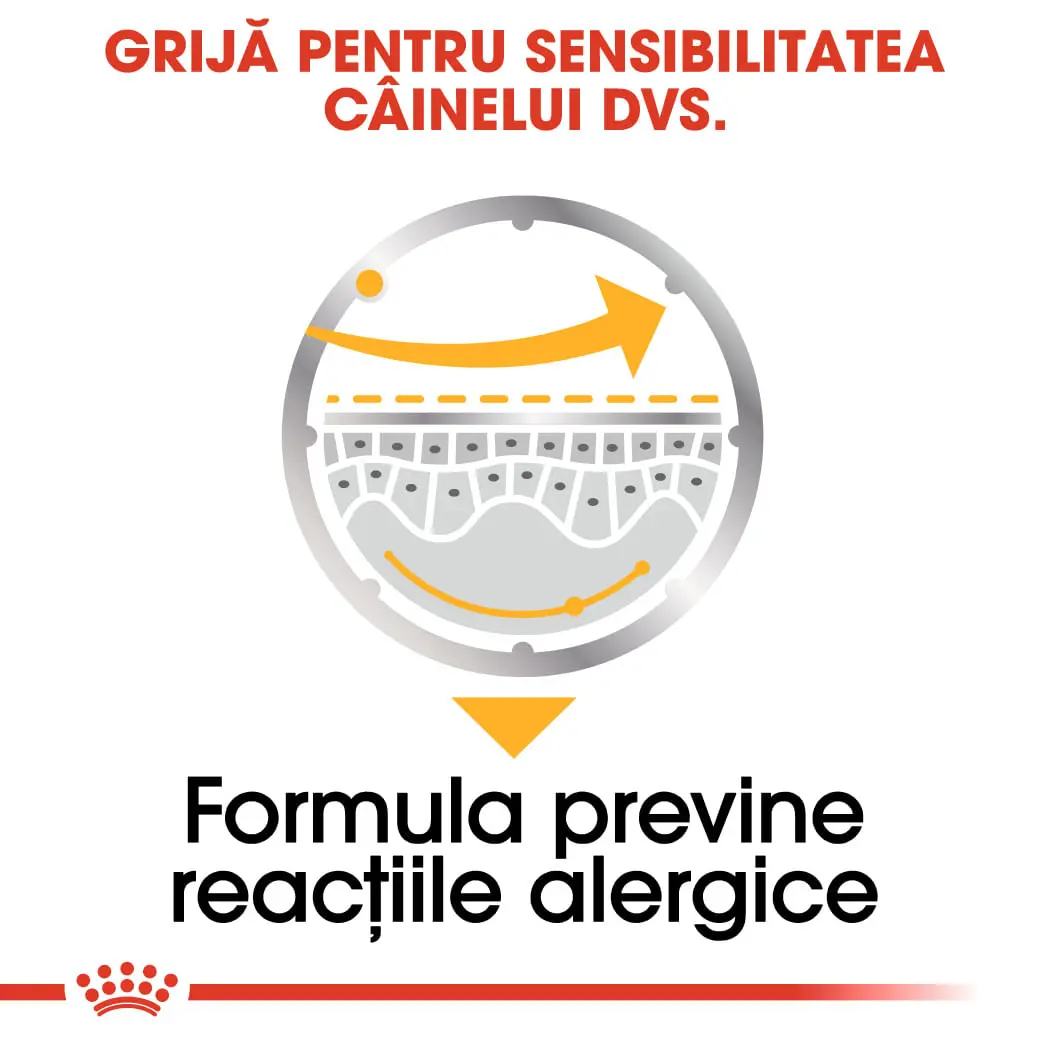 ROYAL CANIN Dermacomfort Adult, hrana umeda caini, prevenirea iritatiilor pielii, (pate), bax, 85g x 12buc - Image 5