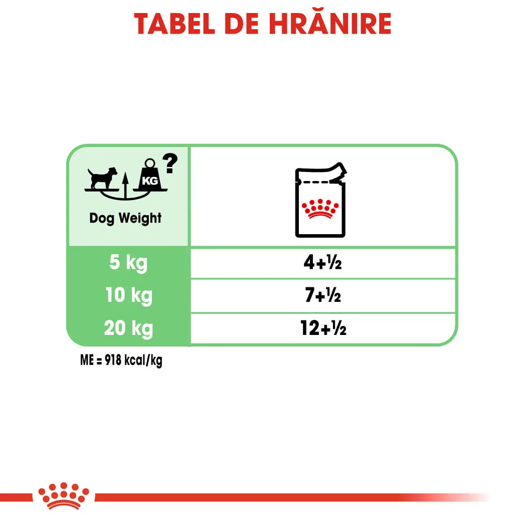 ROYAL CANIN Digestive Care Adult, hrana umeda caini, confort digestiv, (pate), bax, 85g x 12buc - Image 8