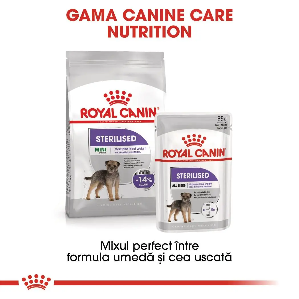 ROYAL CANIN Sterilised Adult, hrana umeda caini sterilizati, (pate), bax, 85g x 12buc - Image 9