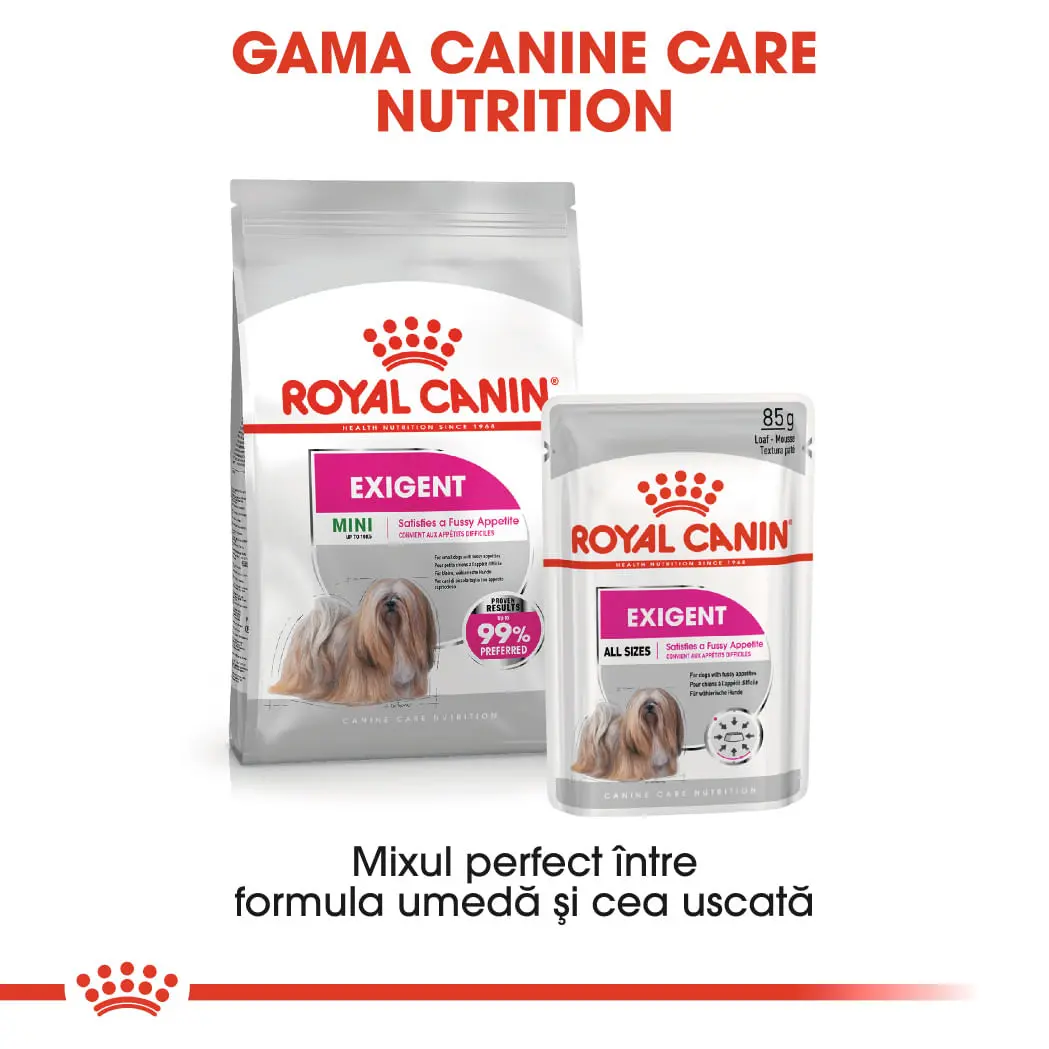 ROYAL CANIN Exigent Adult hrana umeda caini apetit capricios (pate), bax, 85g x 12buc - Image 9