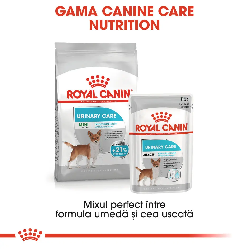 ROYAL CANIN Urinary Care Adult, hrana umeda caini, sanatatea tractului urinar, (pate), bax, 85g x 12buc - Image 9