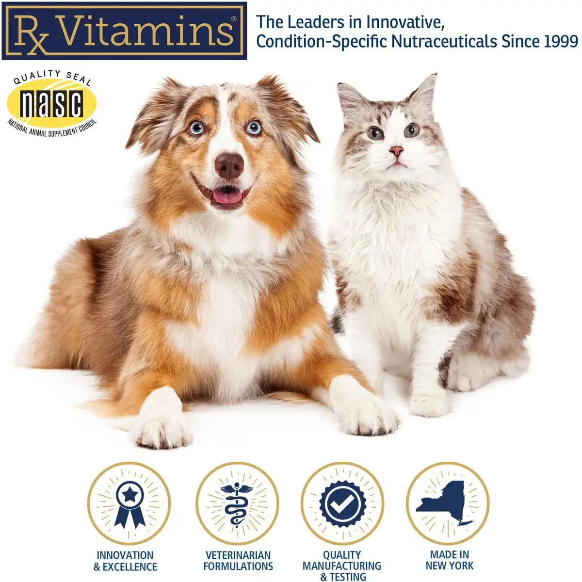 RX VITAMINS Renal Feline, supliment sistem renal caini, capsule RX VITAMINS Renal Feline, supliment sistem renal caini si pisici, flacon, 120 capsule - Image 3