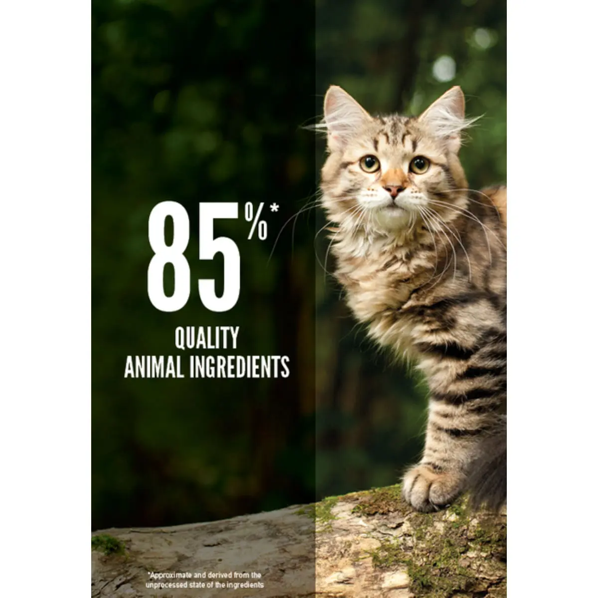 ORIJEN Tundra, Rata si Peste, hrana uscata fara cereale pisici, 5.4kg - Image 4