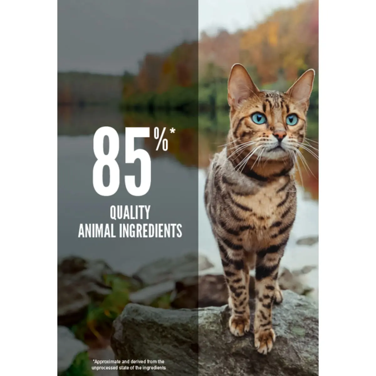 ORIJEN Six Fish, Peste, hrana uscata fara cereale pisici, 5.4kg - Image 4