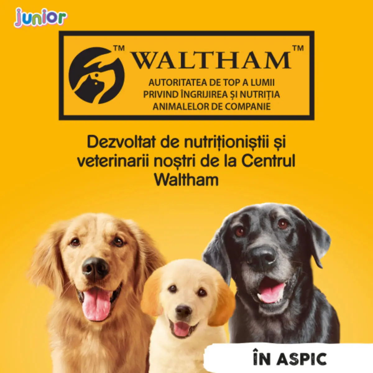 PEDIGREE Junior, XS-XL, Pui, conserva hrana umeda caini junior, (in aspic), 400g - Image 7