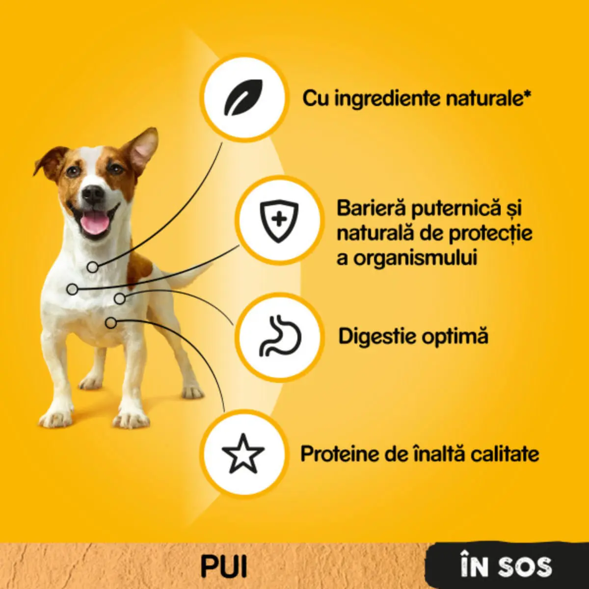 PEDIGREE, XS-XL, Pui si Legume, plic hrana umeda caini, (in sos), 100g - Image 7