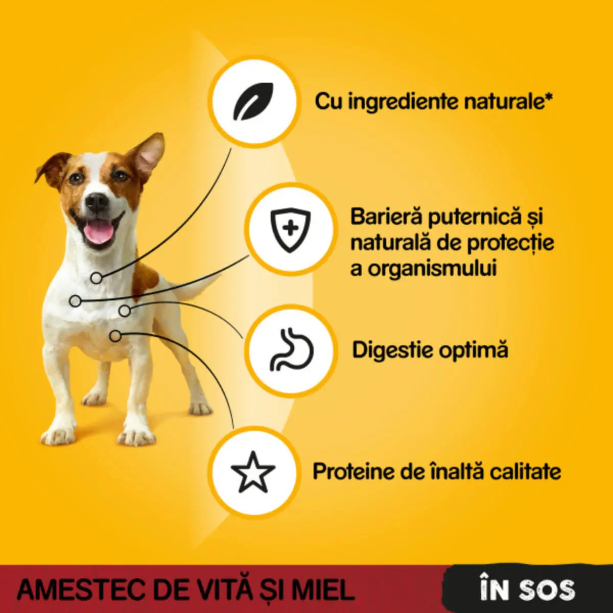 PEDIGREE, XS-XL, Vita si Miel, plic hrana umeda caini, (in sos), 100g - Image 7