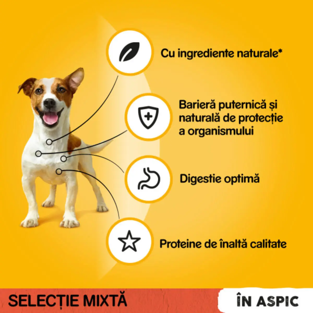 PEDIGREE Selectie Mixta, XS-XL, Vita si Pasare, plic hrana umeda caini, (in aspic), multipack, 100g x 4buc - Image 7