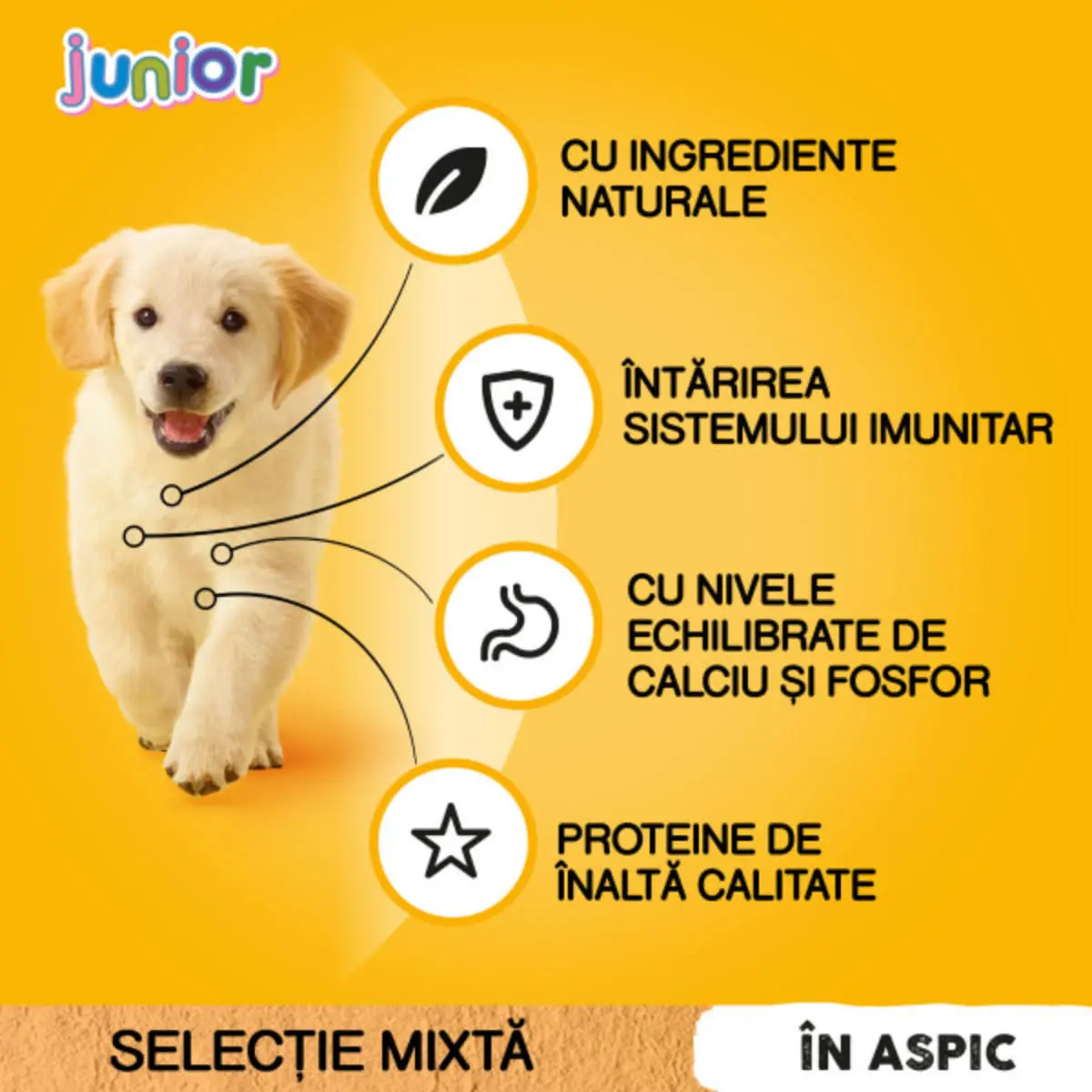 PEDIGREE Junior Selectie Mixta, XS-XL, Carne si Orez, plic hrana umeda caini junior, (in aspic), multipack, 100g x 4buc - Image 8