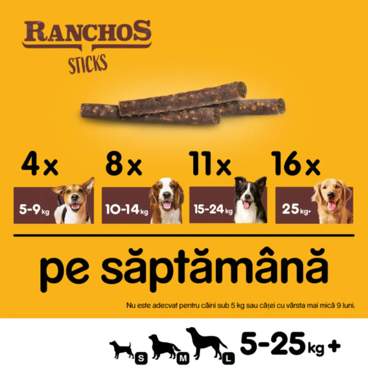 PEDIGREE Ranchos Sticks, XS-XL, Pui, punguta recompense caini, 60g - Image 7
