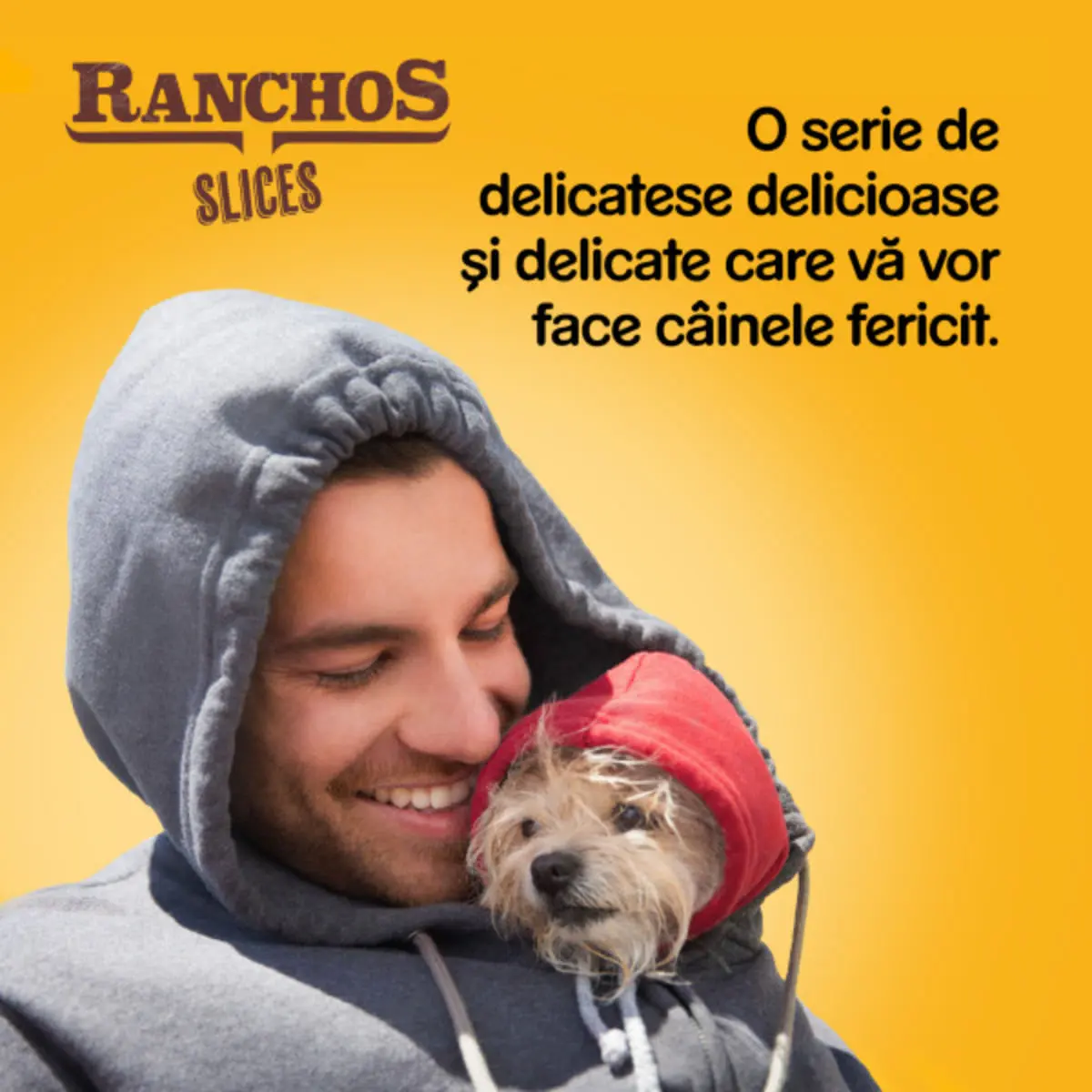 PEDIGREE Ranchos Sticks, XS-XL, Pui, punguta recompense caini, 60g - Image 8
