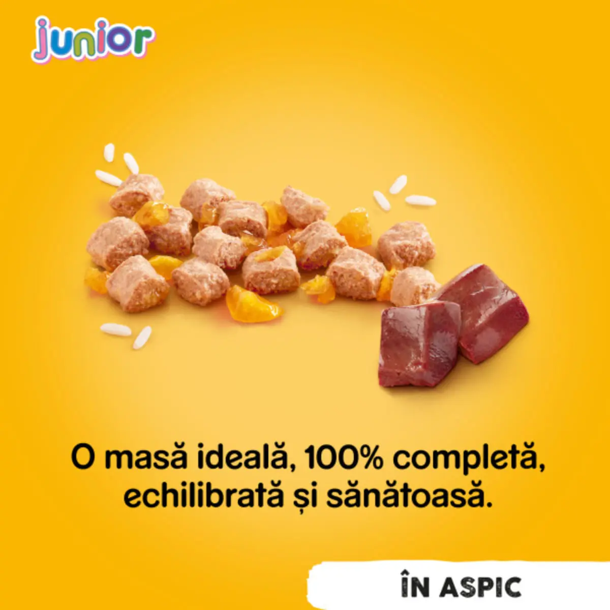 PEDIGREE Junior, XS-XL, Pui, conserva hrana umeda caini junior, (in aspic), bax, 400g x 24buc - Image 3