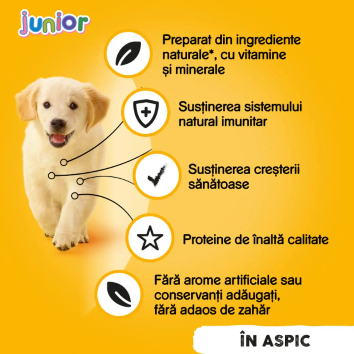 PEDIGREE Junior, XS-XL, Pui, conserva hrana umeda caini junior, (in aspic), bax, 400g x 24buc - Image 4