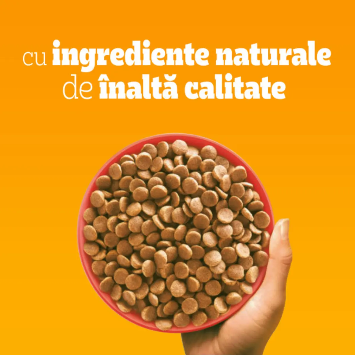 PEDIGREE Mini Adult, XS-S, Vita si Legume, hrana uscata caini, 2kg - Image 4