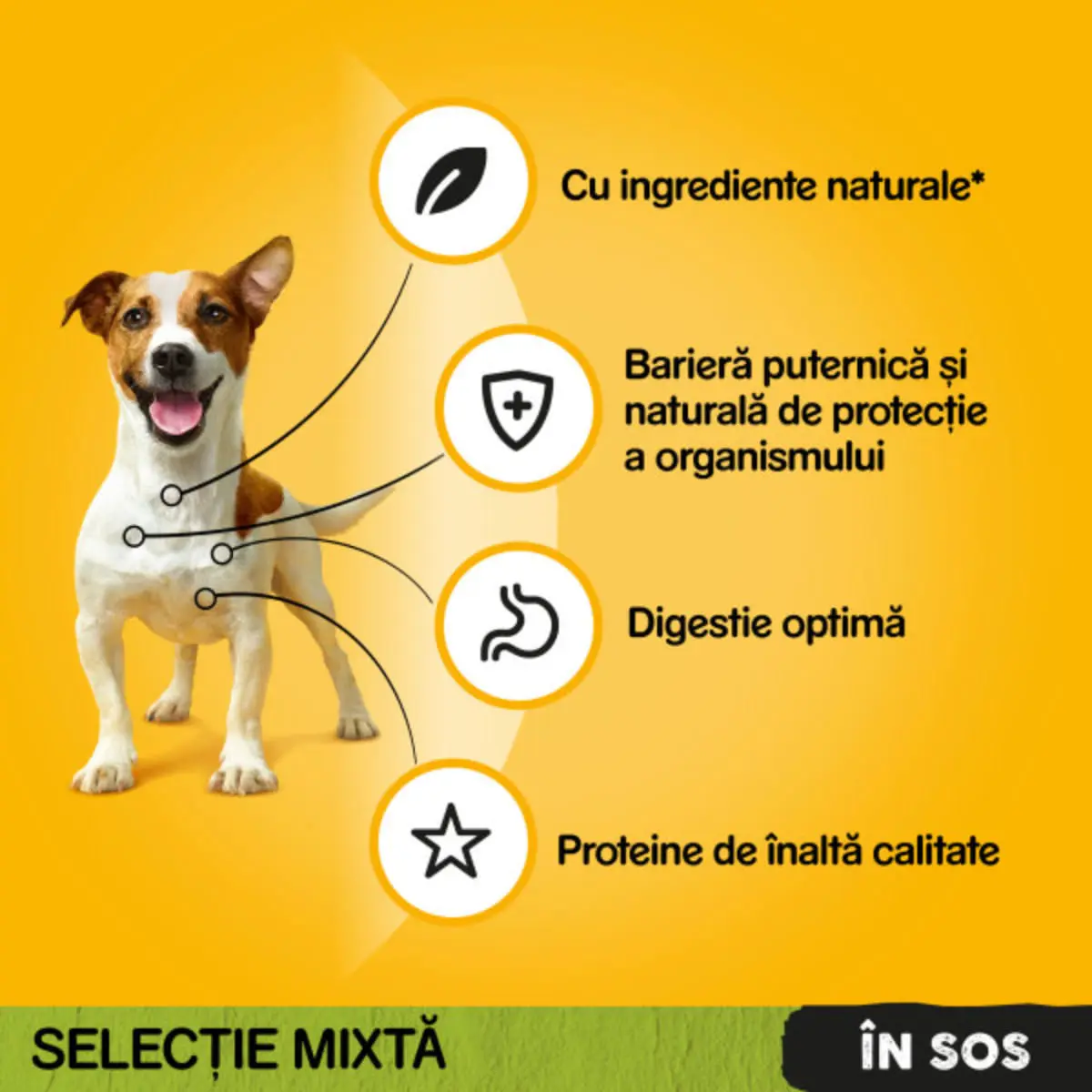 PEDIGREE, XS-XL, Vita si Pasare, plic hrana umeda caini, (in sos), bax, 400g x 13buc - Image 7