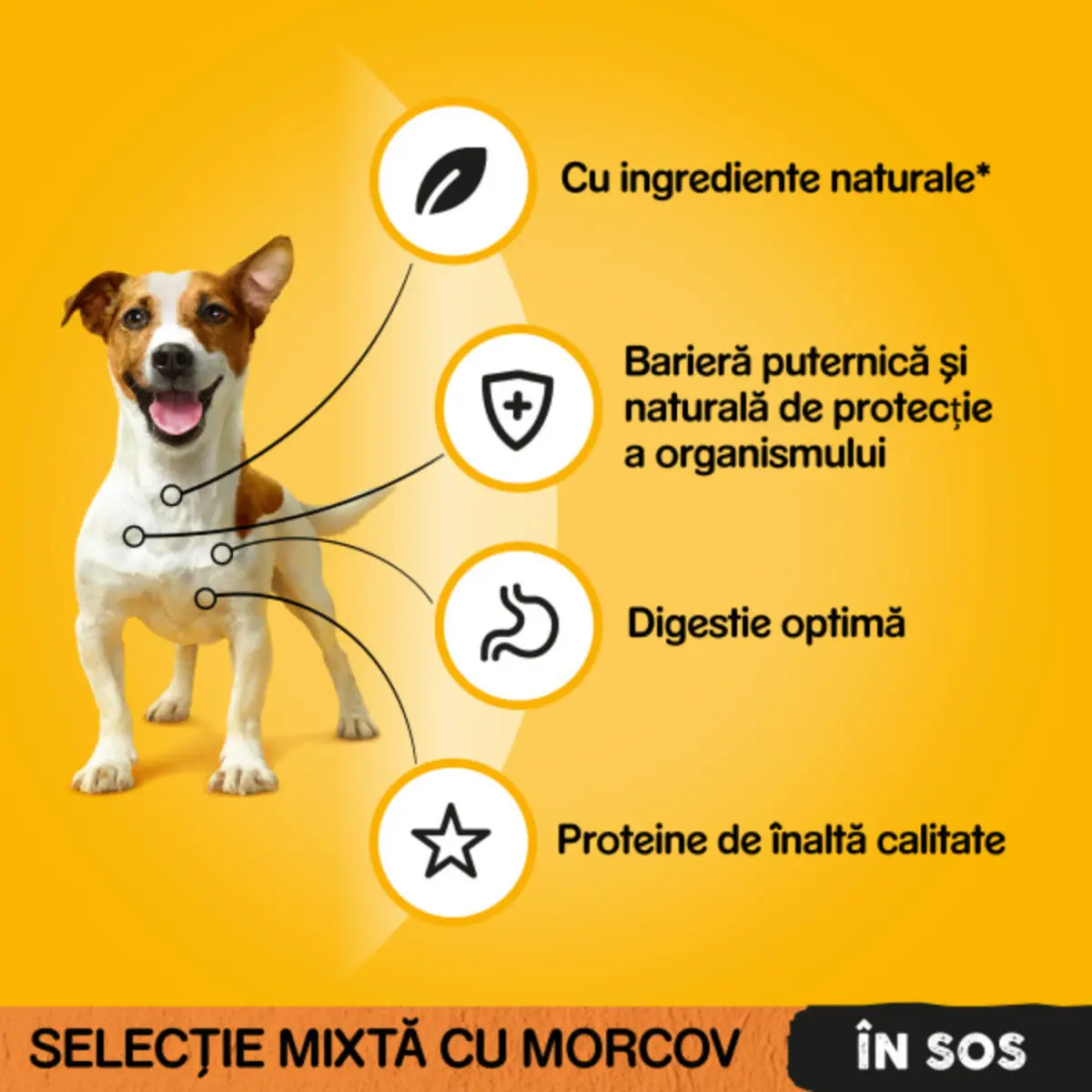 PEDIGREE Selectie Mixta, XS-XL, Vita si Curcan, plic hrana umeda caini, (in sos), bax, 400g x 13buc - Image 7