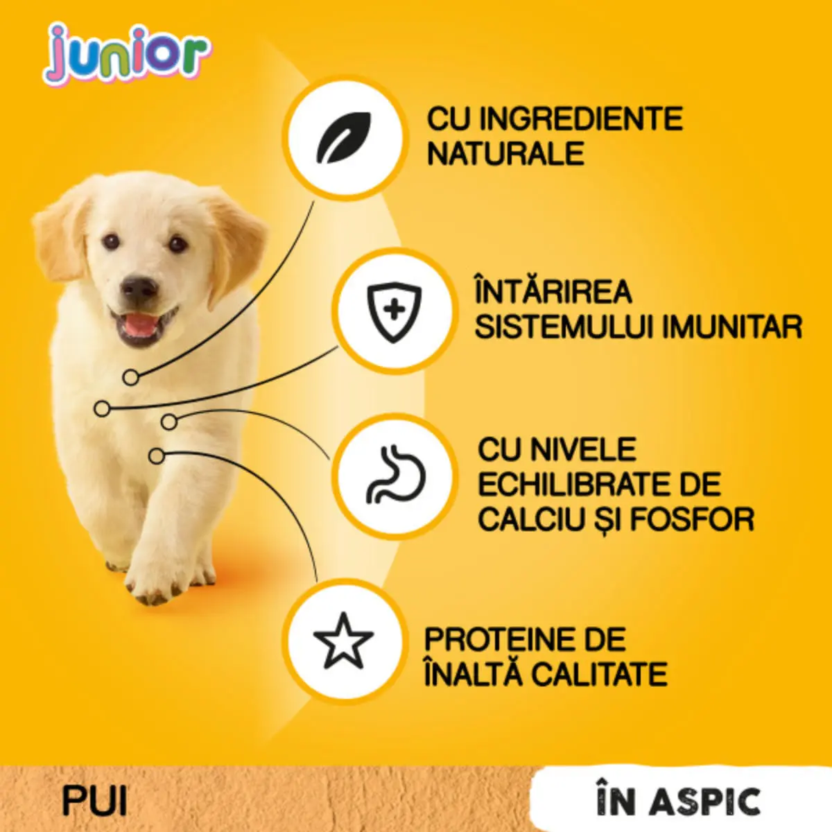 PEDIGREE Junior, XS-XL, Pui, plic hrana umeda caini junior, (in aspic), bax, 100g x 24buc - Image 8