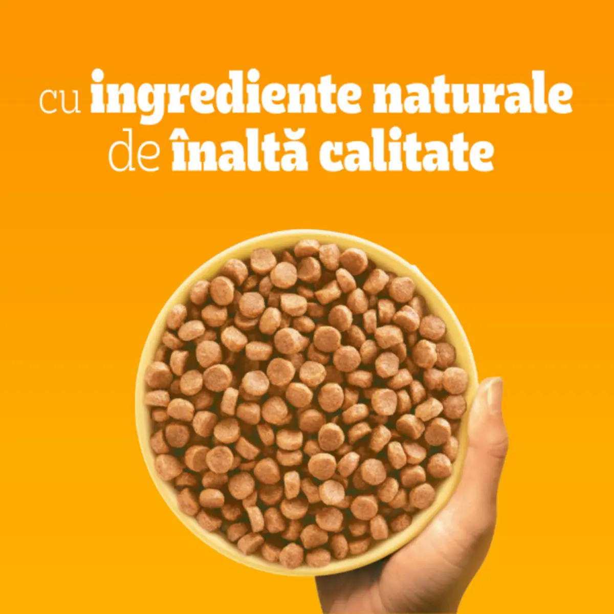 PEDIGREE Junior, M-XL, Pasare si Legume, hrana uscata caini junior, 500g - Image 4