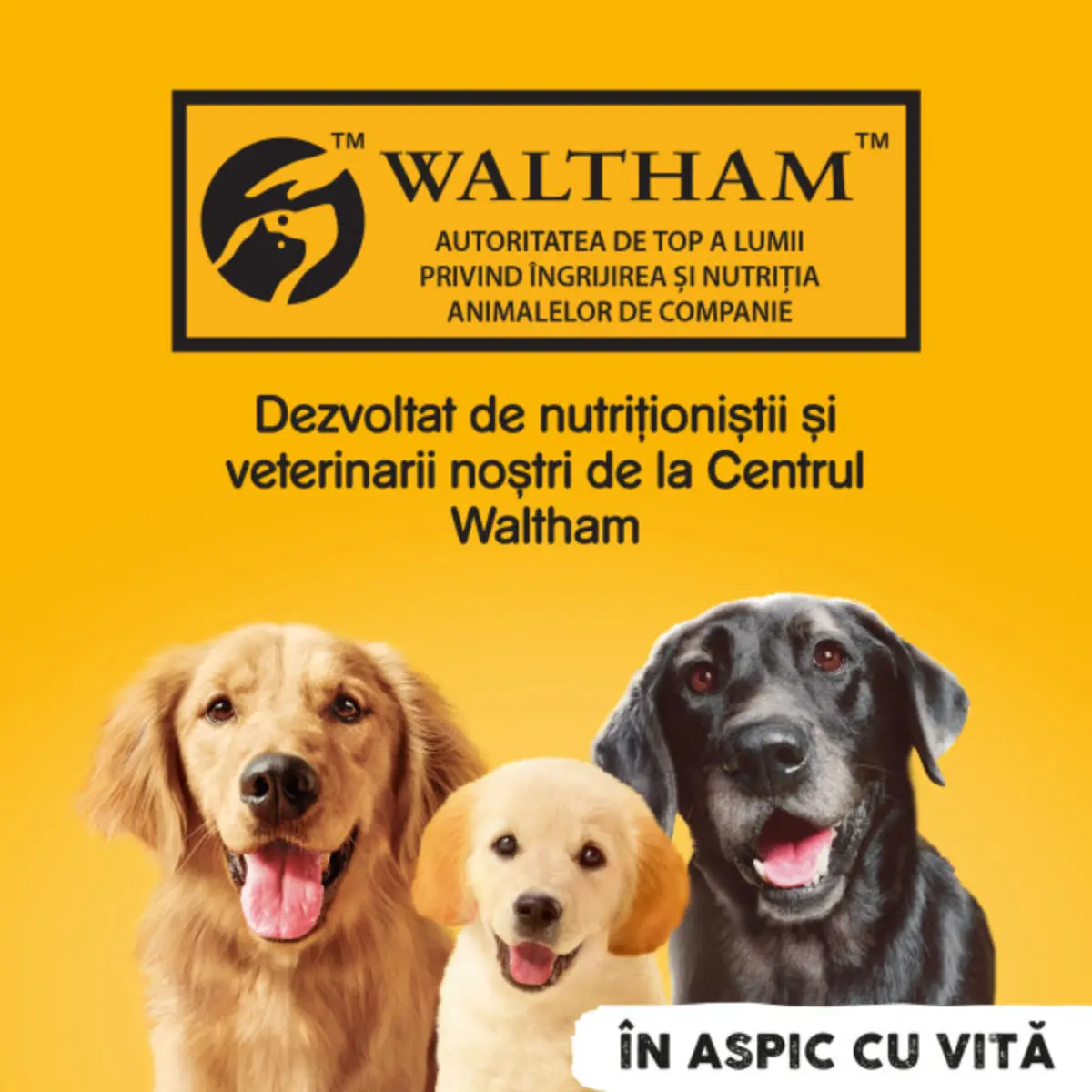PEDIGREE, XS-XL, Vita si Pasare, conserva hrana umeda caini, (in aspic), bax, 400g x 24buc - Image 8